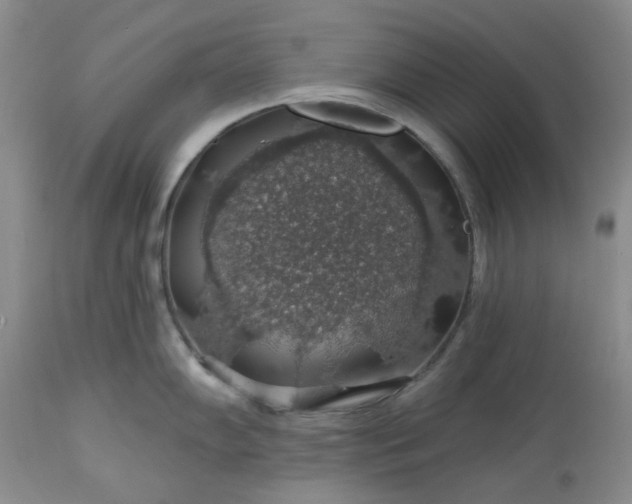 X0000113571102200910021623