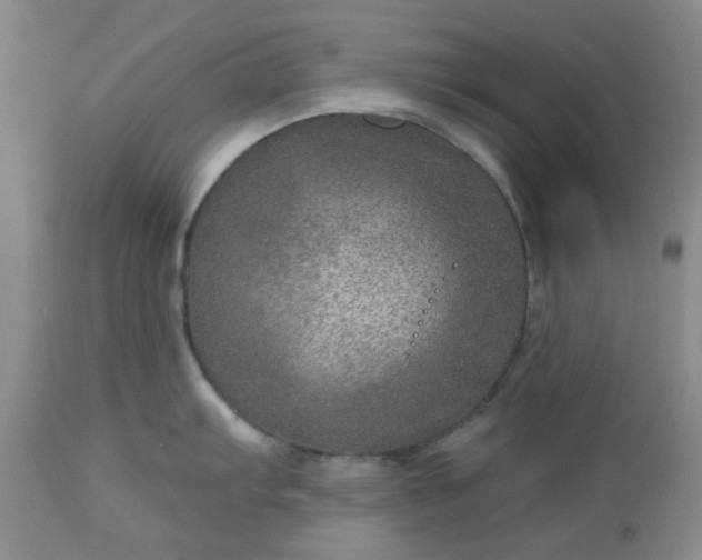 X0000113571103200910021623