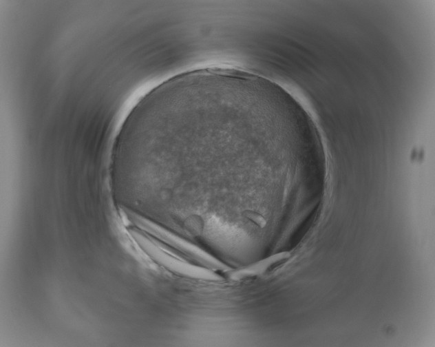 X0000113571104200910021623