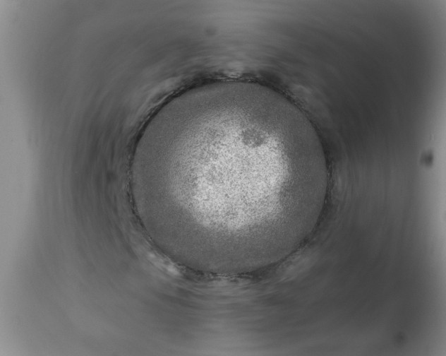 X0000113571105200910021623