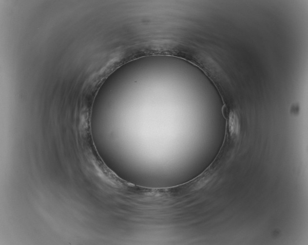 X0000113571107200910021623