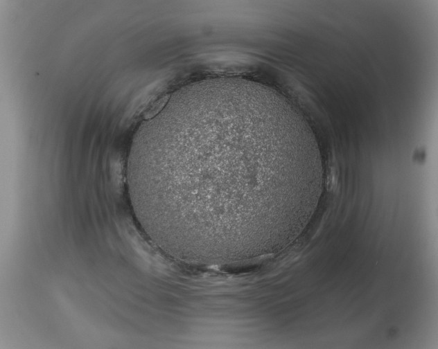 X0000113571108200910021623