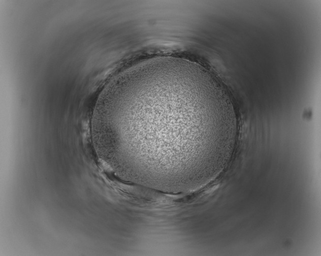X0000113571109200910021623