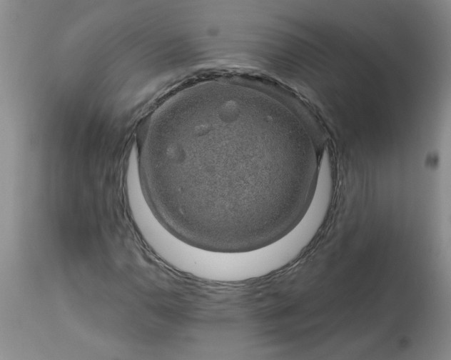 X0000113571110200910021623