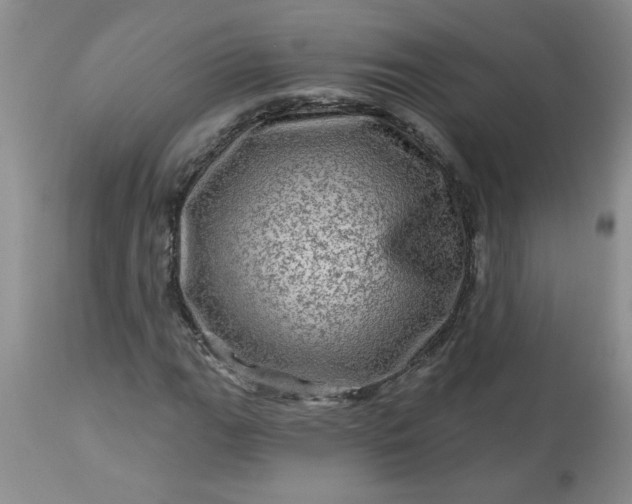 X0000113571111200910021623