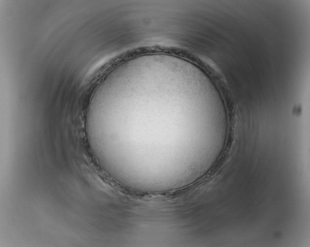 X0000113571112200910021623