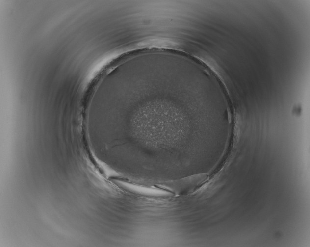 X0000113571115200910021623