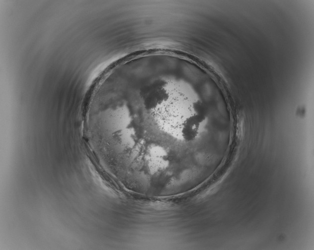 X0000113571117200910021623