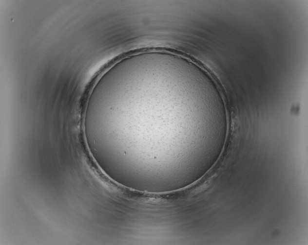 X0000113571119200910021623