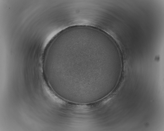 X0000113571120200910021623