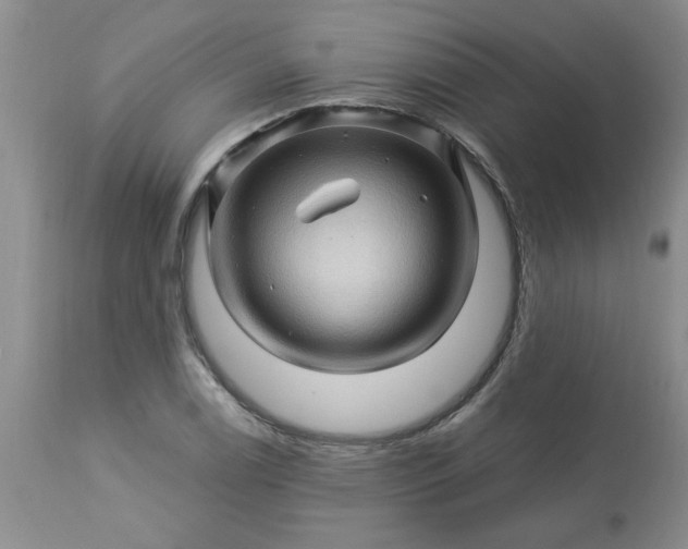 X0000113571122200910021623