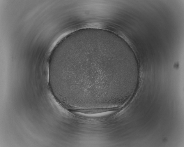 X0000113571123200910021623