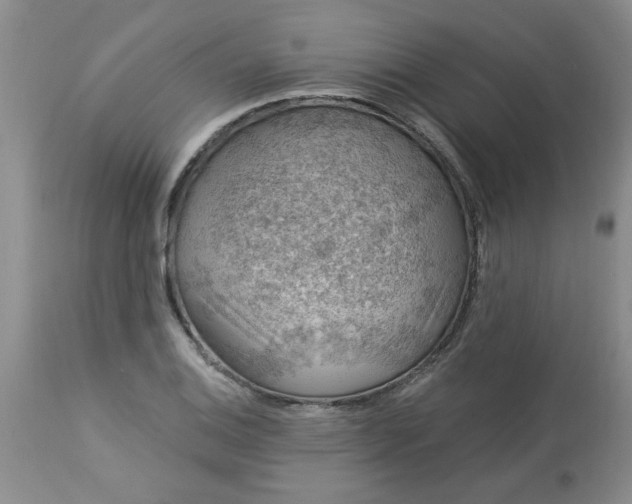 X0000113571124200910021623