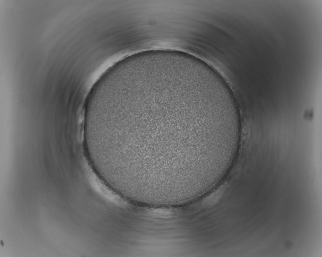 X0000113571126200910021623