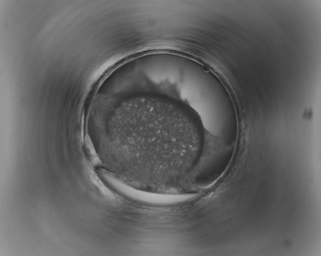X0000113571127200910021623