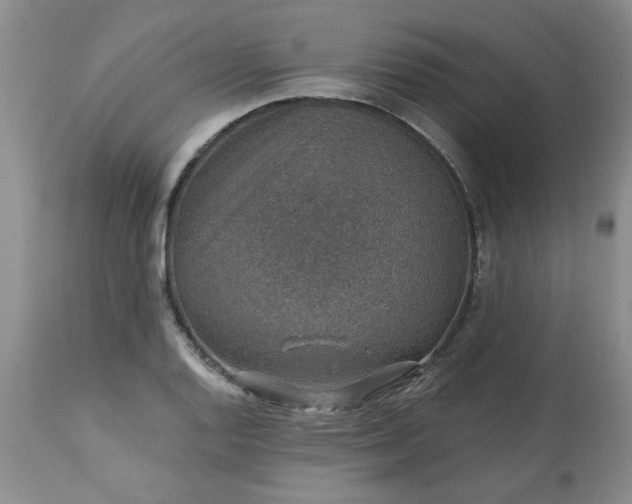 X0000113571128200910021623
