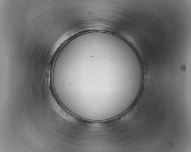 X0000113571130200910021623