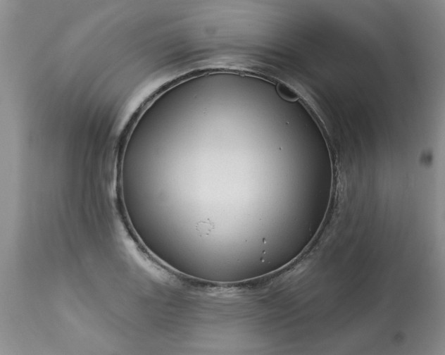 X0000113571131200910021623