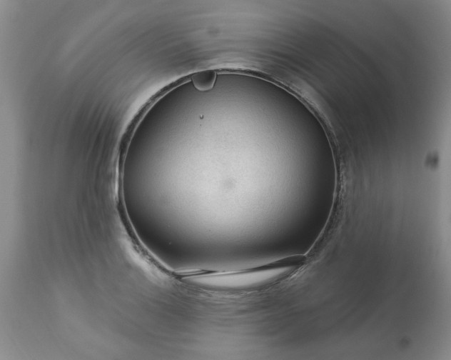 X0000113571132200910021623