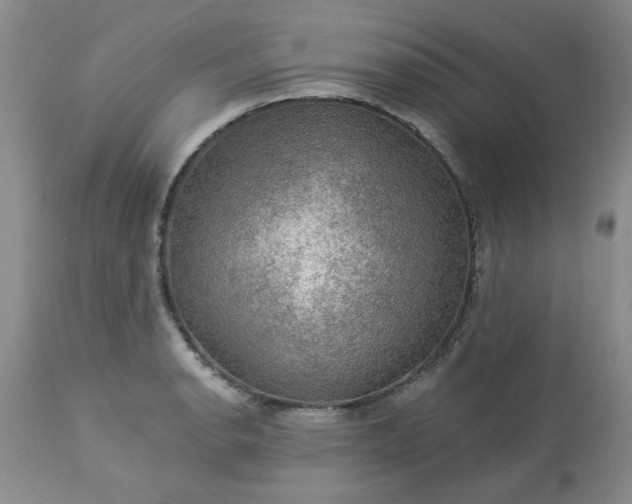 X0000113571134200910021623
