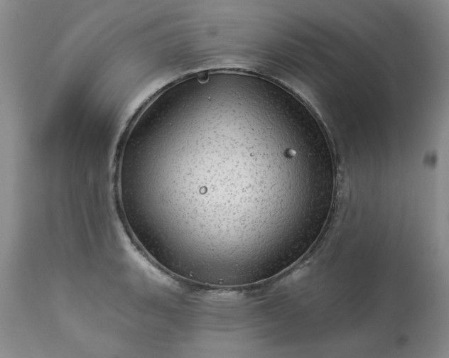 X0000113571135200910021623
