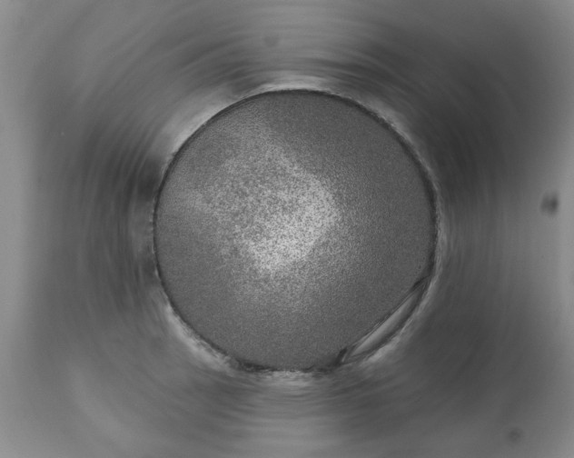 X0000113571137200910021623