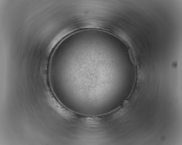 X0000113571138200910021623