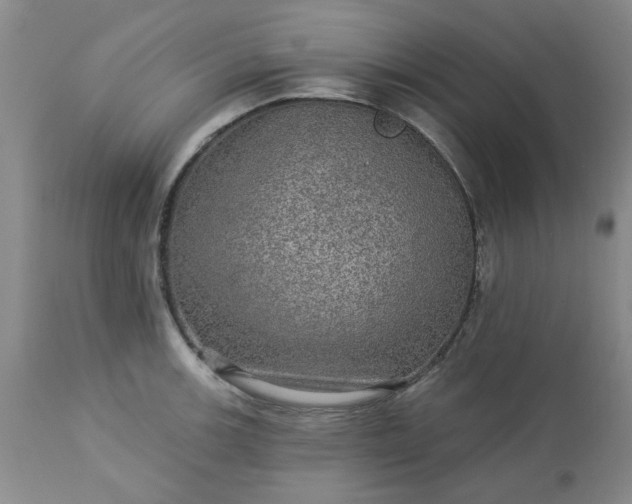 X0000113571139200910021623