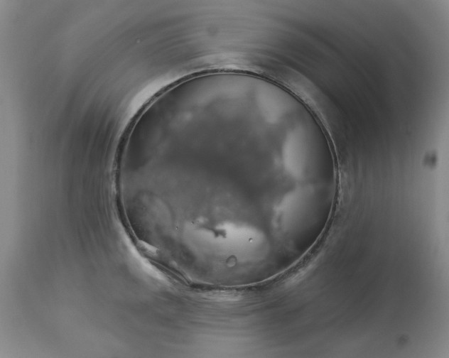X0000113571141200910021623