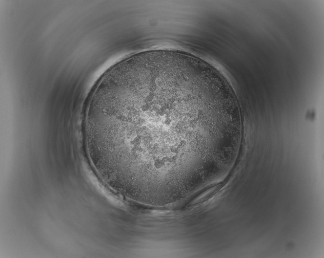 X0000113571142200910021623