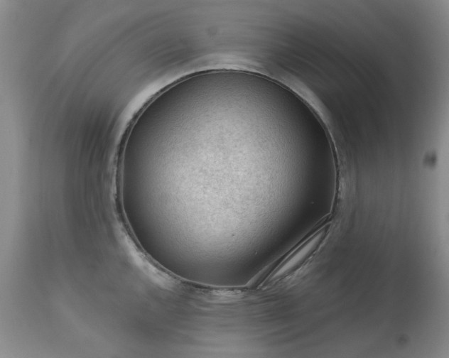 X0000113571144200910021623