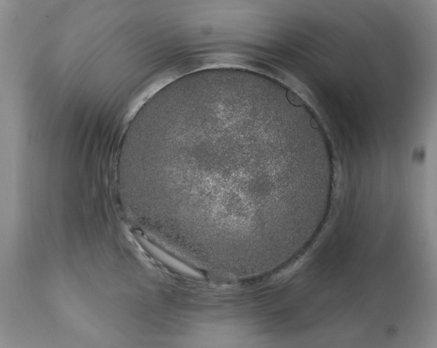 X0000113571145200910021623