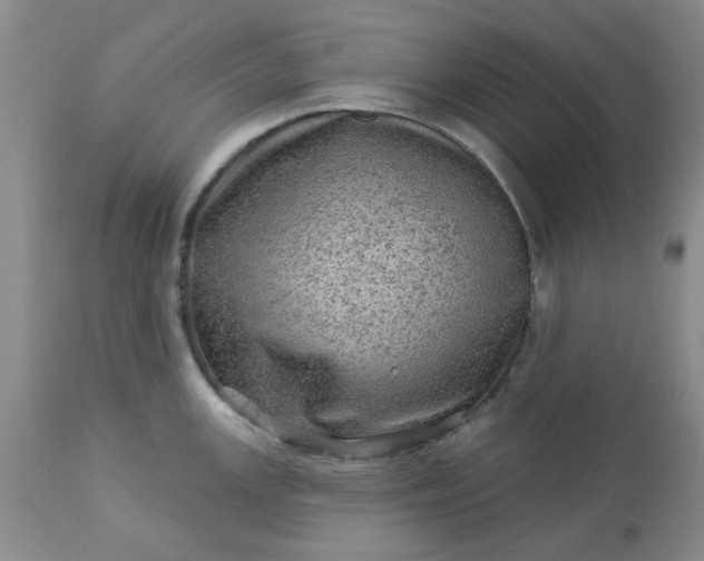 X0000113571147200910021623