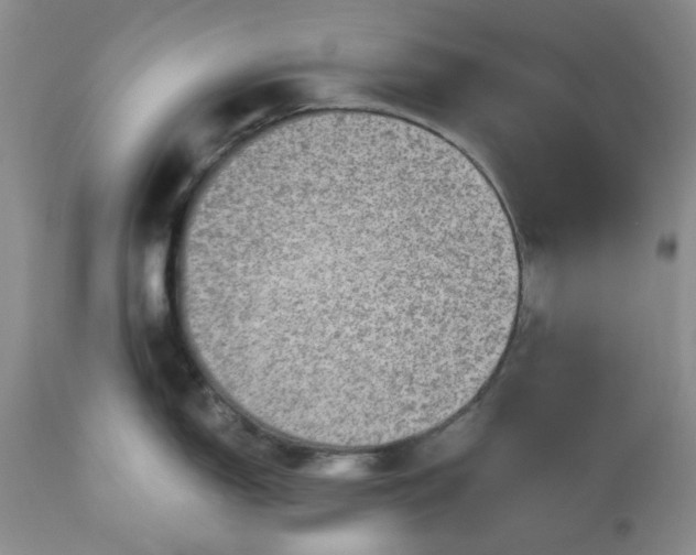X0000113571150200910021623