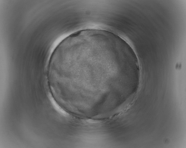 X0000113571152200910021623