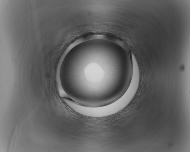 X0000113571153200910021623