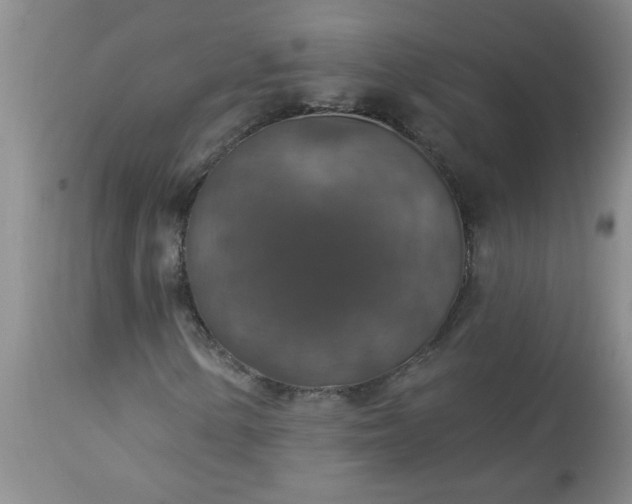 X0000113571154200910021623