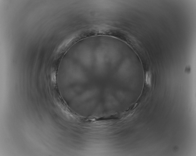 X0000113571155200910021623