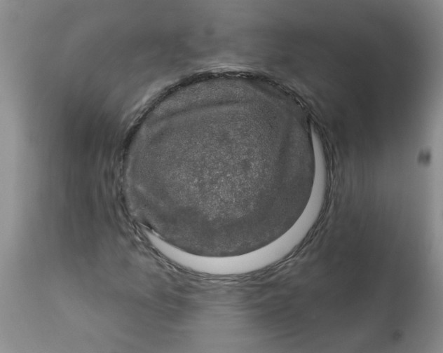 X0000113571157200910021623