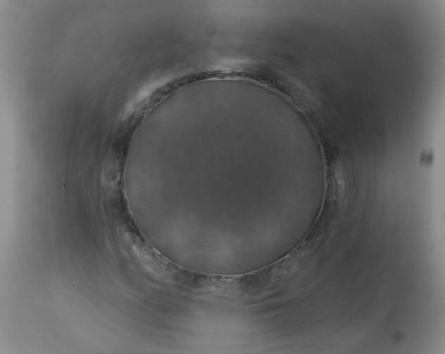X0000113571158200910021623