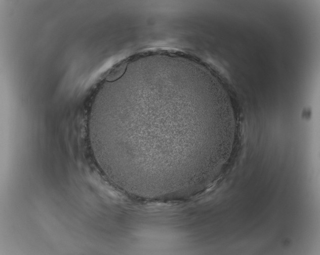 X0000113571159200910021623