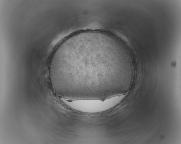 X0000113571160200910021623