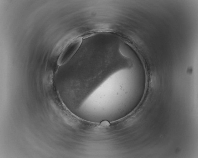 X0000113571161200910021623