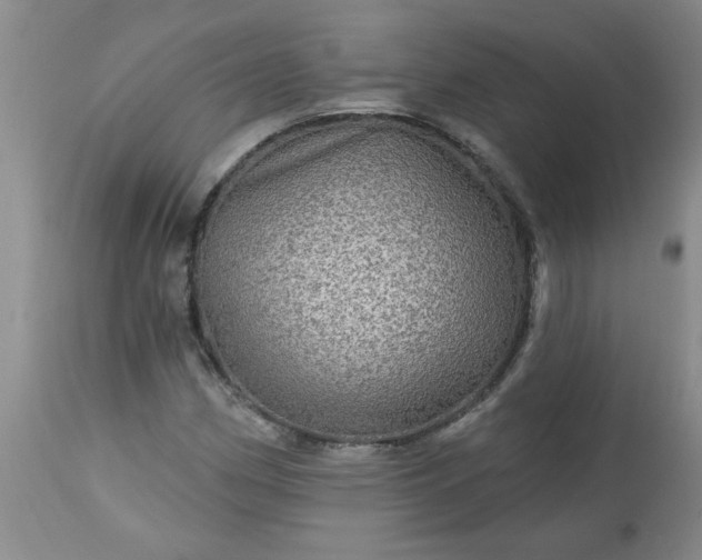 X0000113571162200910021623