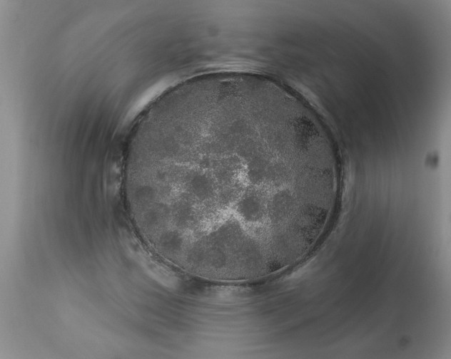 X0000113571163200910021623