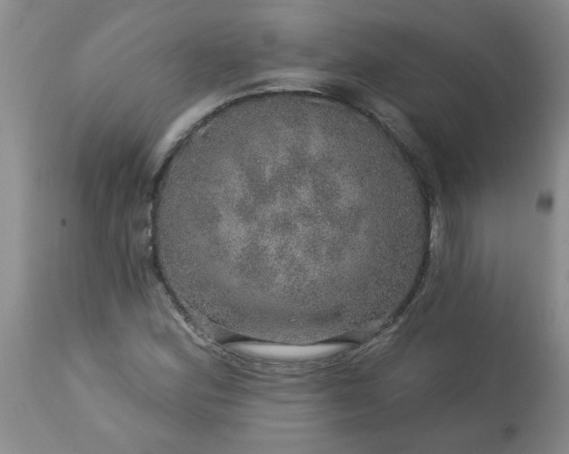 X0000113571164200910021623