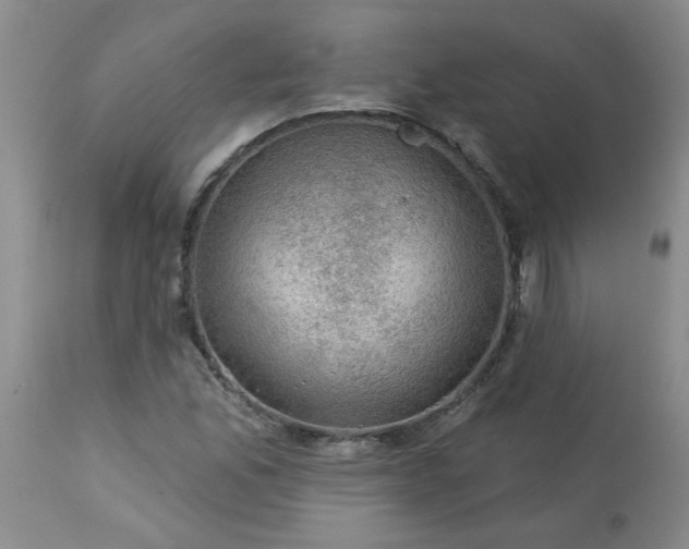 X0000113571165200910021623
