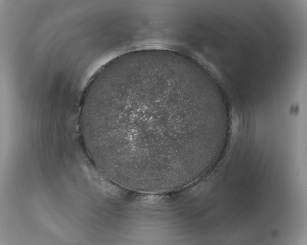 X0000113571166200910021623