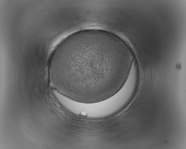 X0000113571167200910021623