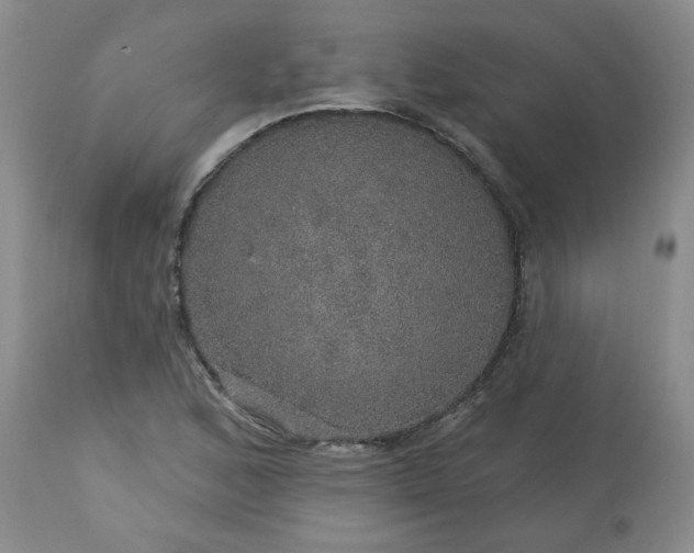 X0000113571168200910021623
